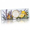 FIORENTINO set of round soaps with stamp Lavender and Cedar, 3x100 g