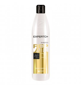 Experto Repair plaukų šampūnas, 500 ml