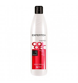 Experto Color plaukų šampūnas, 500 ml