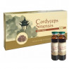 CORDYCEPS SINENSIS food supplement, 10x10ml