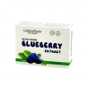 GOLDEN PHARM food supplement Blueberry extract, 50 tabl.