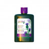 GOLDEN PHARM shampoo Burdock, 250 ml