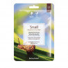 BEAUUGREEN Contour sheet face mask with Snail extract, 23 g