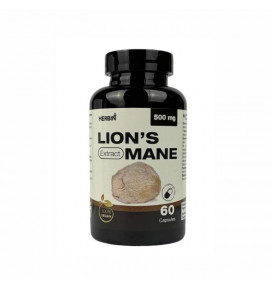 LION'S MANE EXTRACT 60 kapsulių (liūto karčiai / gericijaus grybas), 1 dienoje ( 1 kapsulėje 500 mg ekstrakto) HERBIN