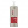 Romantic Professional color protecting shampoo for dyed and faded hair Colo