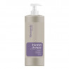 Romantic Professional shampoo for lighted hair that gives a gray shade Blon