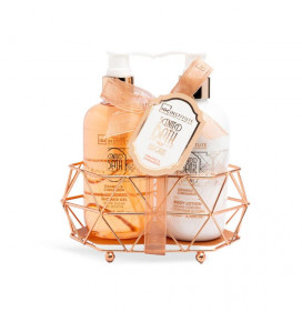 IDC Institute Scented Bath Bronze Shower Duo: 250ml shower gel, 250ml body 
