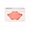 IDC Institute Lip Mask 22 pcs