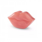 IDC Institute Lip Mask 22 pcs
