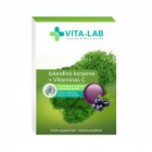 VITA-LAB kietosios pastilės gerklei Islandinė kerpena+ Vitaminas C, N12 LT/ENG
