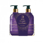 AURORA DREAM OF LAVENDER dovanų rinkinys (muilas ir rankų losjonas, 2x250 ml)