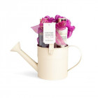 IDC INSTITUTE rinkinys Country flowers 3 pozicijos