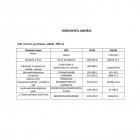 SILA Professional virtuvės paviršiaus valiklis, 500 ml