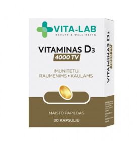VITA-LAB maisto papildas Vitaminas D3 4000 TV, N30
