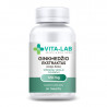 VITA-LAB food supplement Ginkgo Biloba extract 120mg, N90