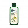 HERBAL CARE šampūnas dažytiems plaukams su nakvišų ekstraktu, 330 ml