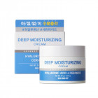 SKIN627 Solution Veido kremas drėkinamasis su hialuronu ir keramidais, 50 g