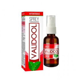 VITATEKA purškalas Validol, 20 ml