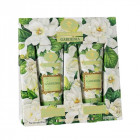 FIORENTINO Bath Gift Set Gardenia Body Wash 250 ml Body Lotion 250 ml