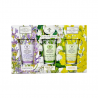 FIORENTINO Hand Cream Gift Set 3 x 100 ml
