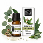 Flora Secret Eucalyptus Oil, 10 ml
