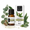 Flora Secret Eucalyptus Oil, 10 ml