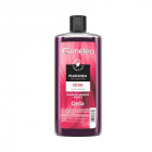 DELIA CAMELEO toneris plaukams rausvas su rožių vandeniu, 200 ml