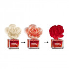 BLOOM AT HOME namų kvapas 30 dienų English Garden 100 ml