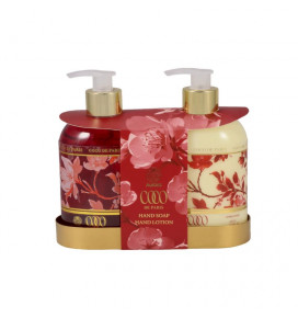 AURORA COCO DE PARIS dovanų rinkinys 2x400 ml rankų losjonas, rankų muilas