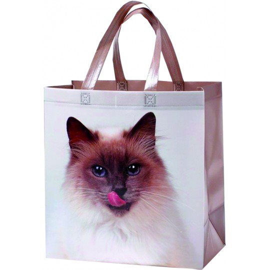 Krepšys pirkiniams Katė, 32x24x17 cm